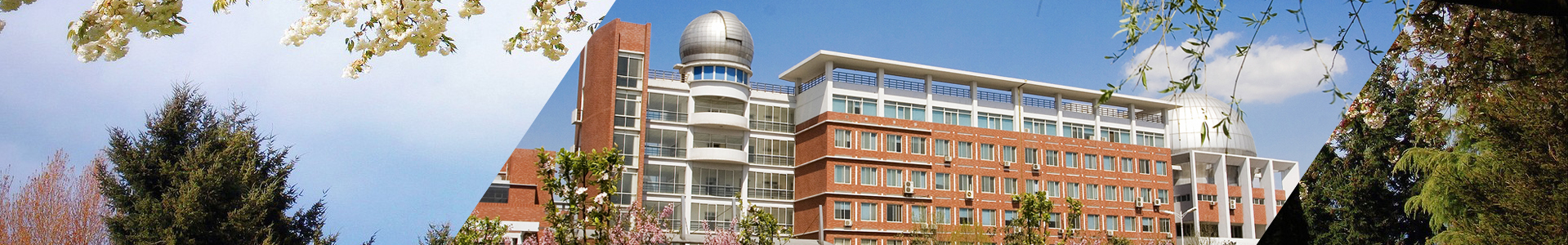 m88mansion体育官方